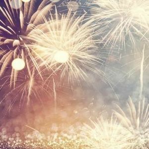 Clothing, purses , and accessories